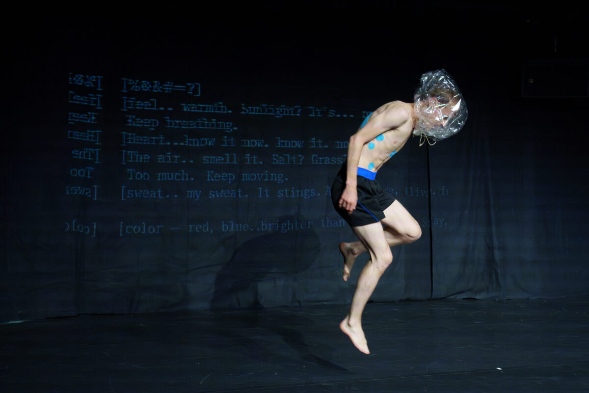 Pneuma 6 Michael Meili